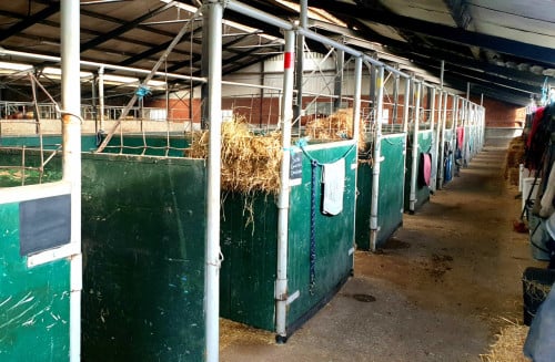 Paardenstalling en Ponystalling beschikbaar