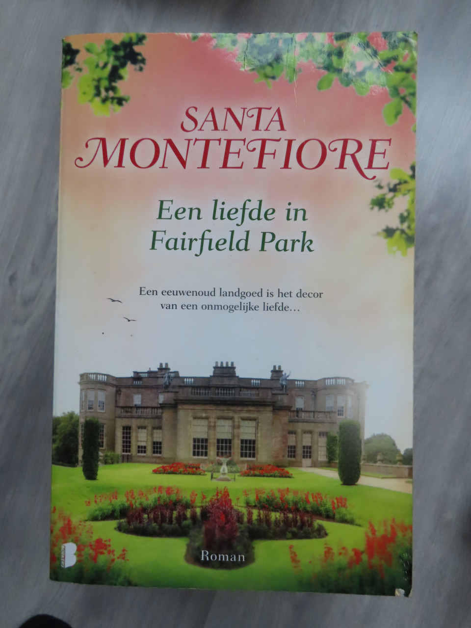 Diverse boeken Santa Montefiore