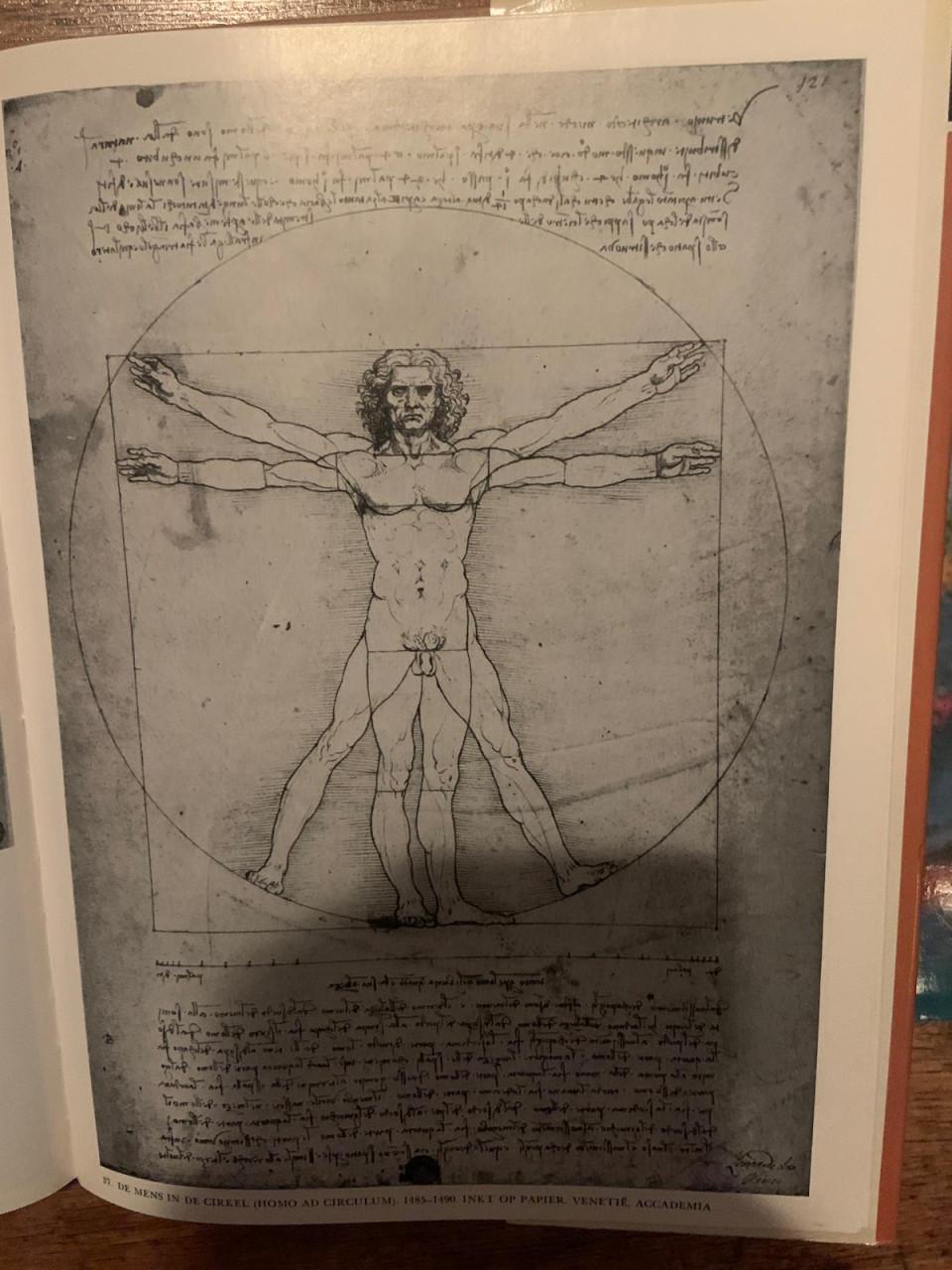 Te koop; boeken leren schilderen schildercursus aquarel leonardo davinci