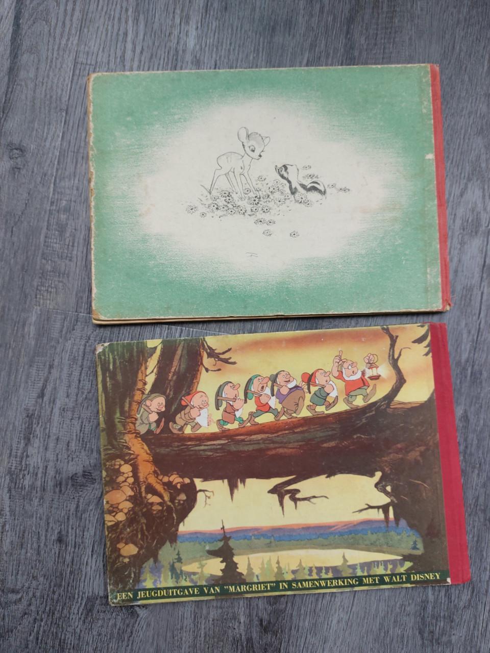 WALT DISNEY STRIP BOEKEN.