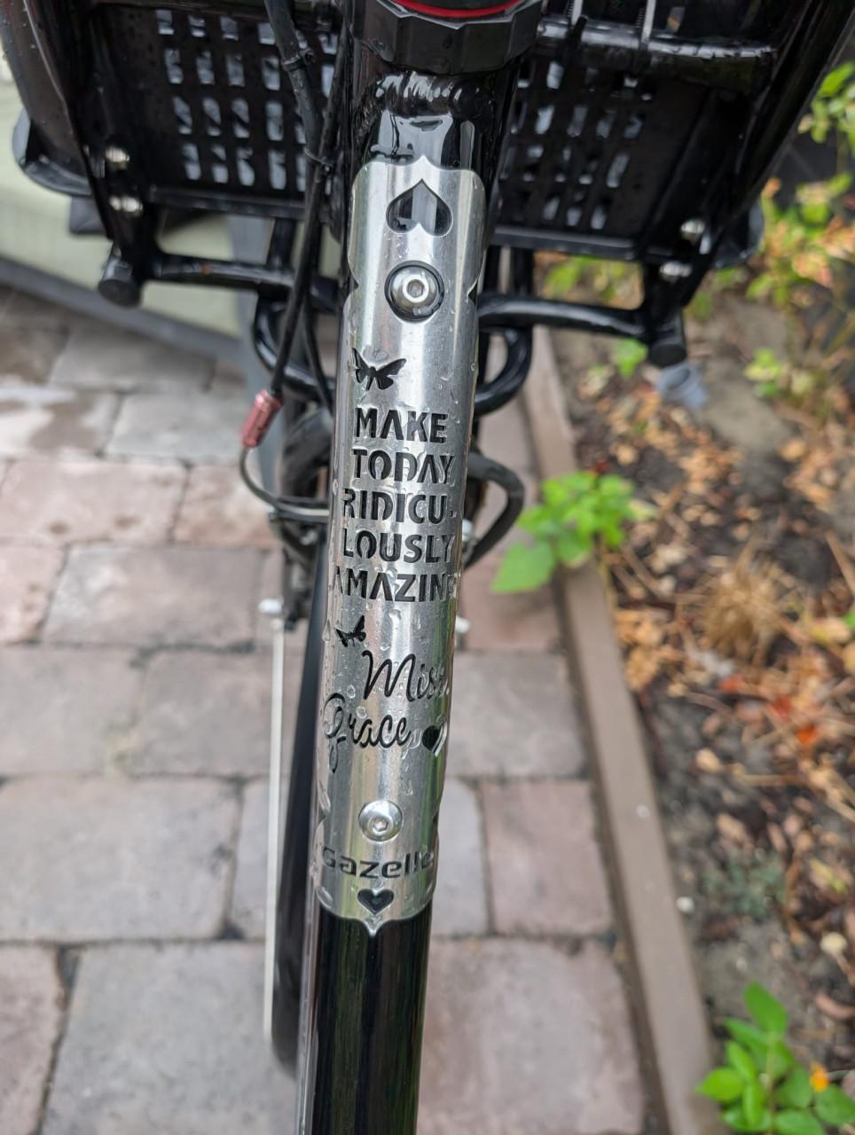 Gazelle miss grace ebike (als fiets of onderdelen))