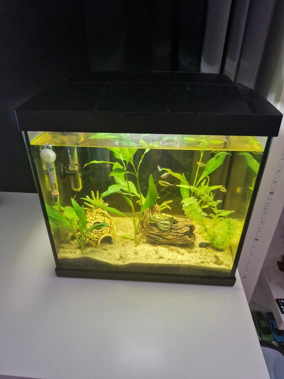 Aquarium startkit