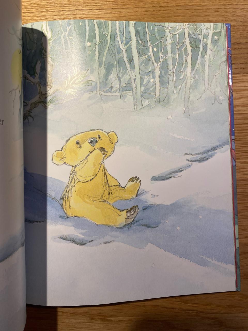 De verhalen van kleine beer