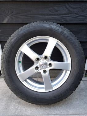 Winterbanden 215-65-16 voor nissan