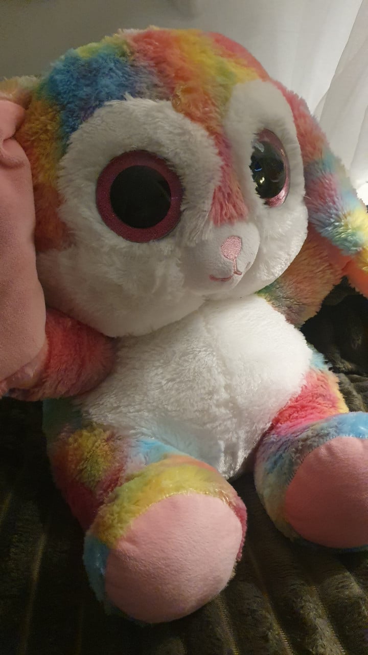 Ty knuffels