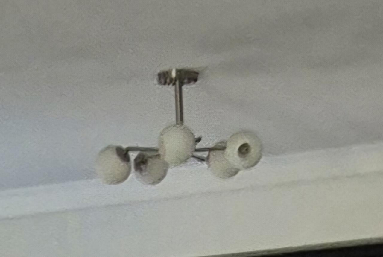 Lampen