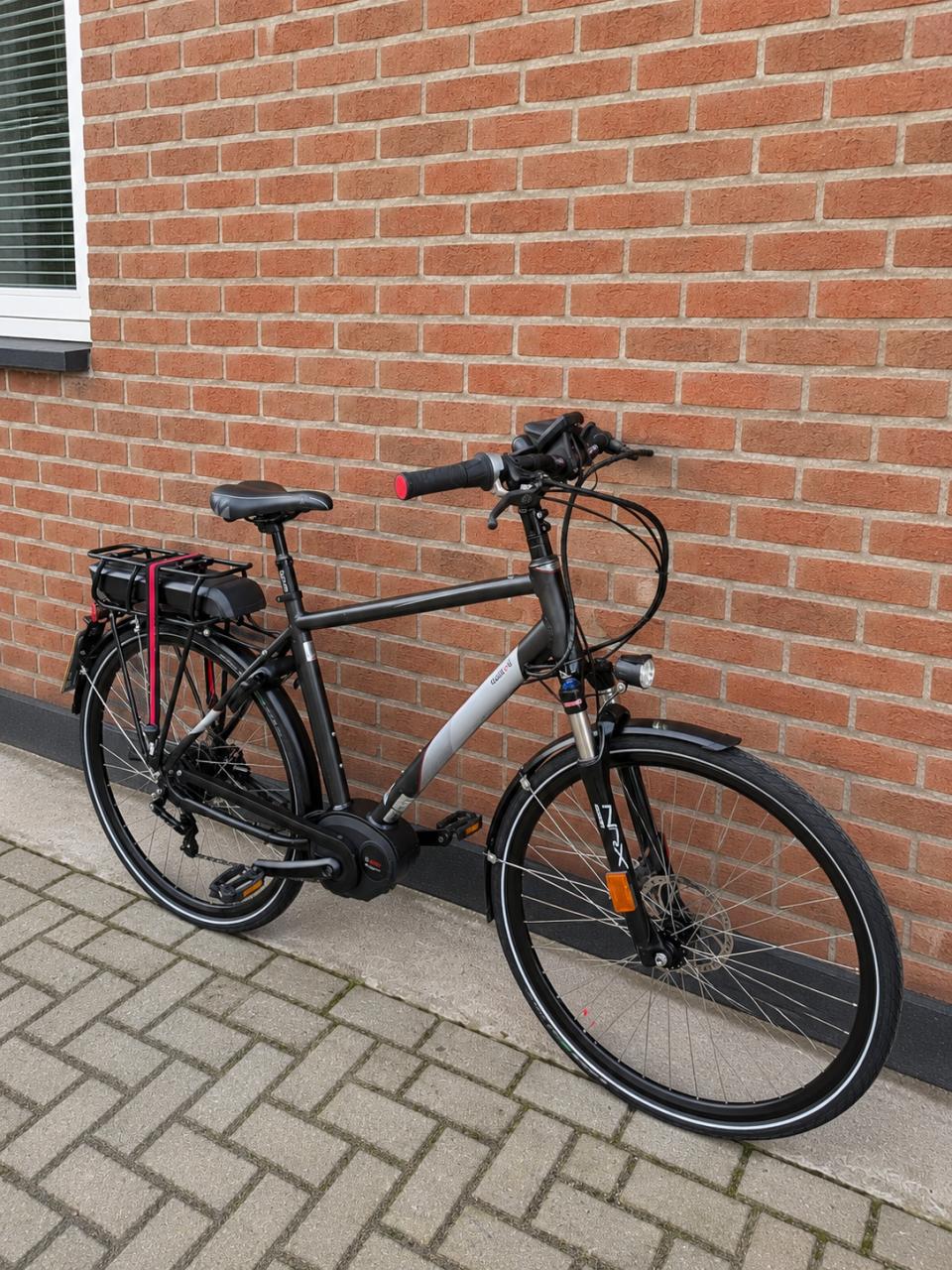 Speedpedelec 500WH 45Km/h