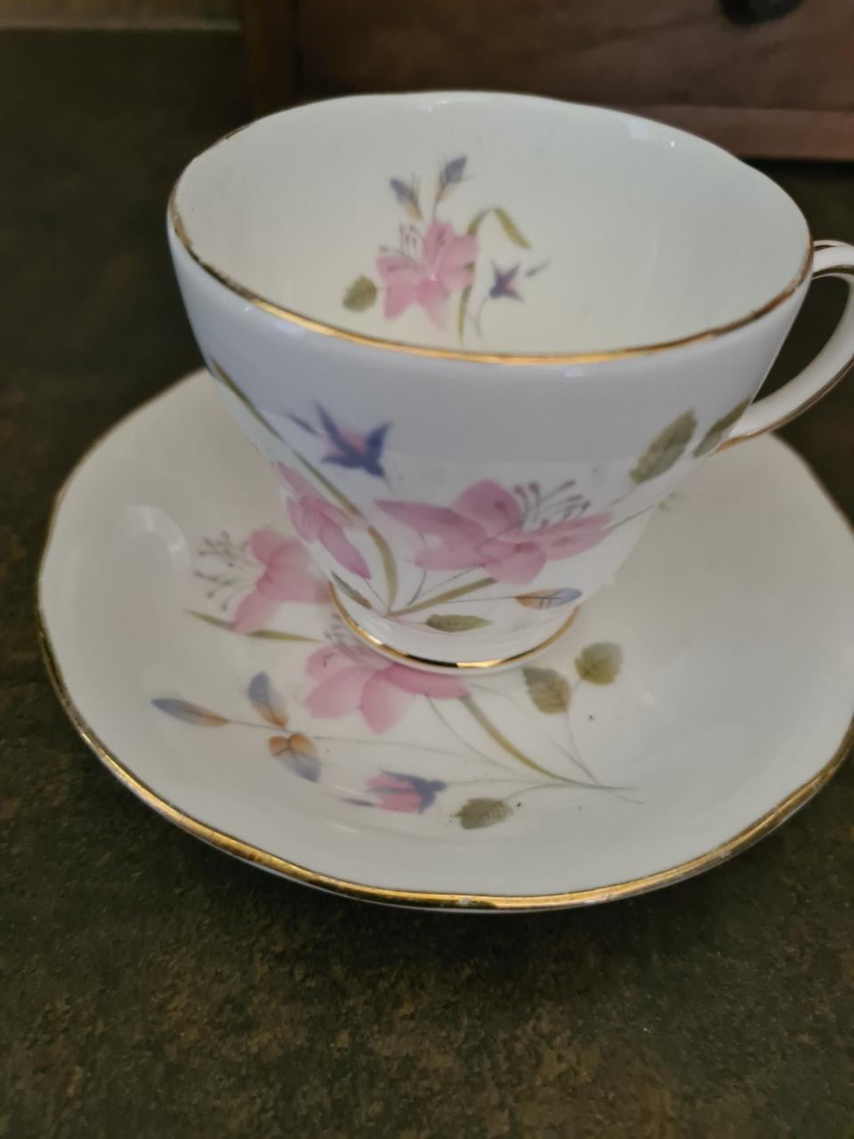 Duchess vintage handbeschilderd porseleinen kop en schotel