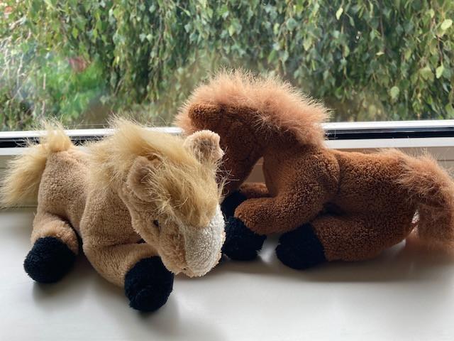 Chihuahua Knuffels, DOMBO, (Jockey)Pony'tjes, Konijn, Smurf, en meer...