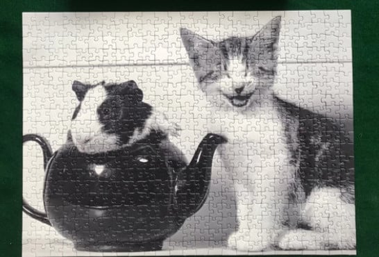 Ravensburger puzzel 500 stukjes