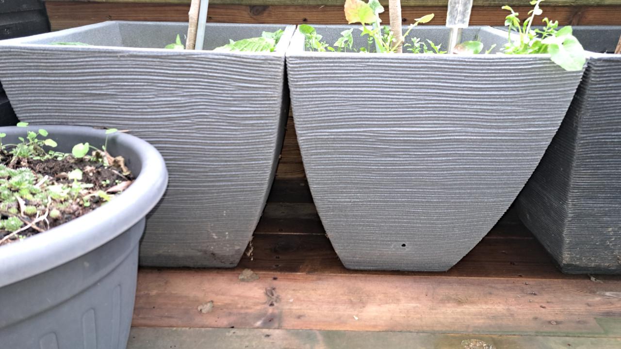 Plantenbakken incl. diverse planten