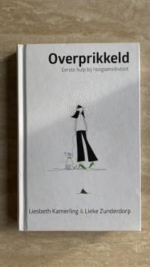 Boek: Overprikkeld door Liesbeth Kamerling