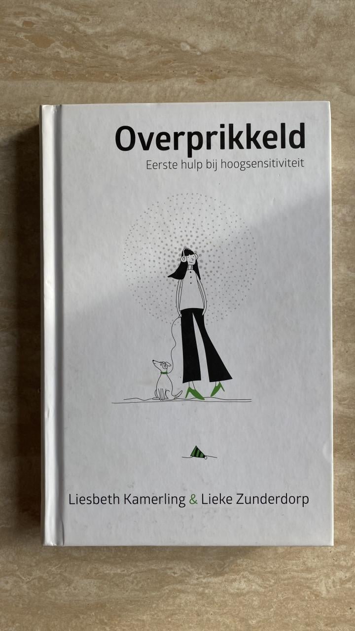 Boek: Overprikkeld door Liesbeth Kamerling