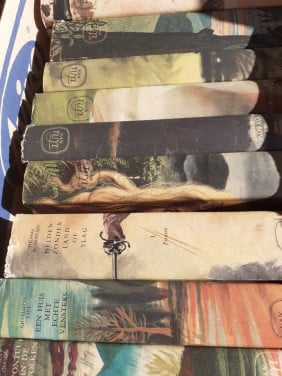 Doos Boeken.