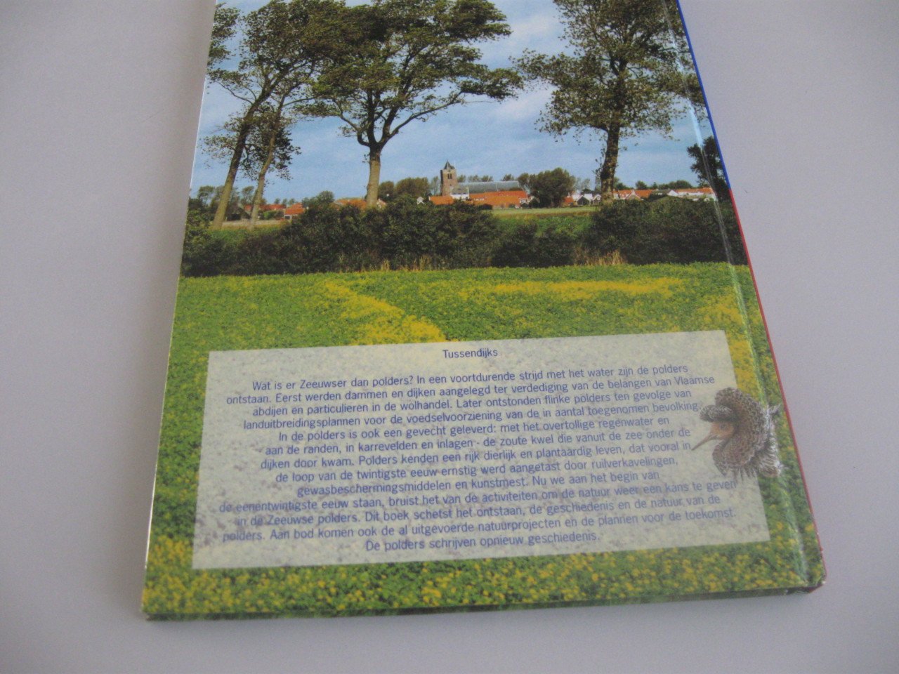 Provincie Zeeland