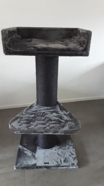 Mooie krabpaal
