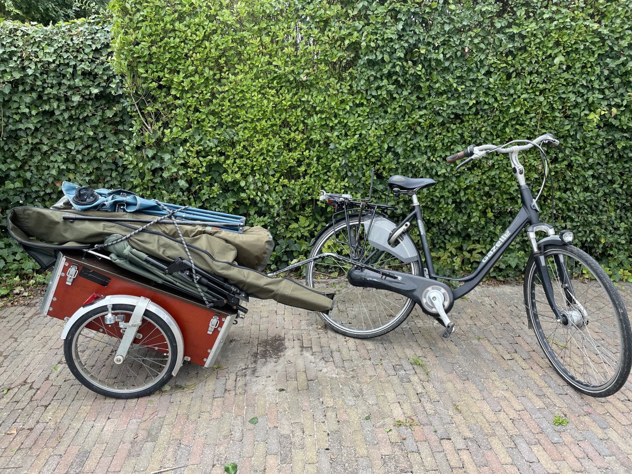 Viskar met fiets