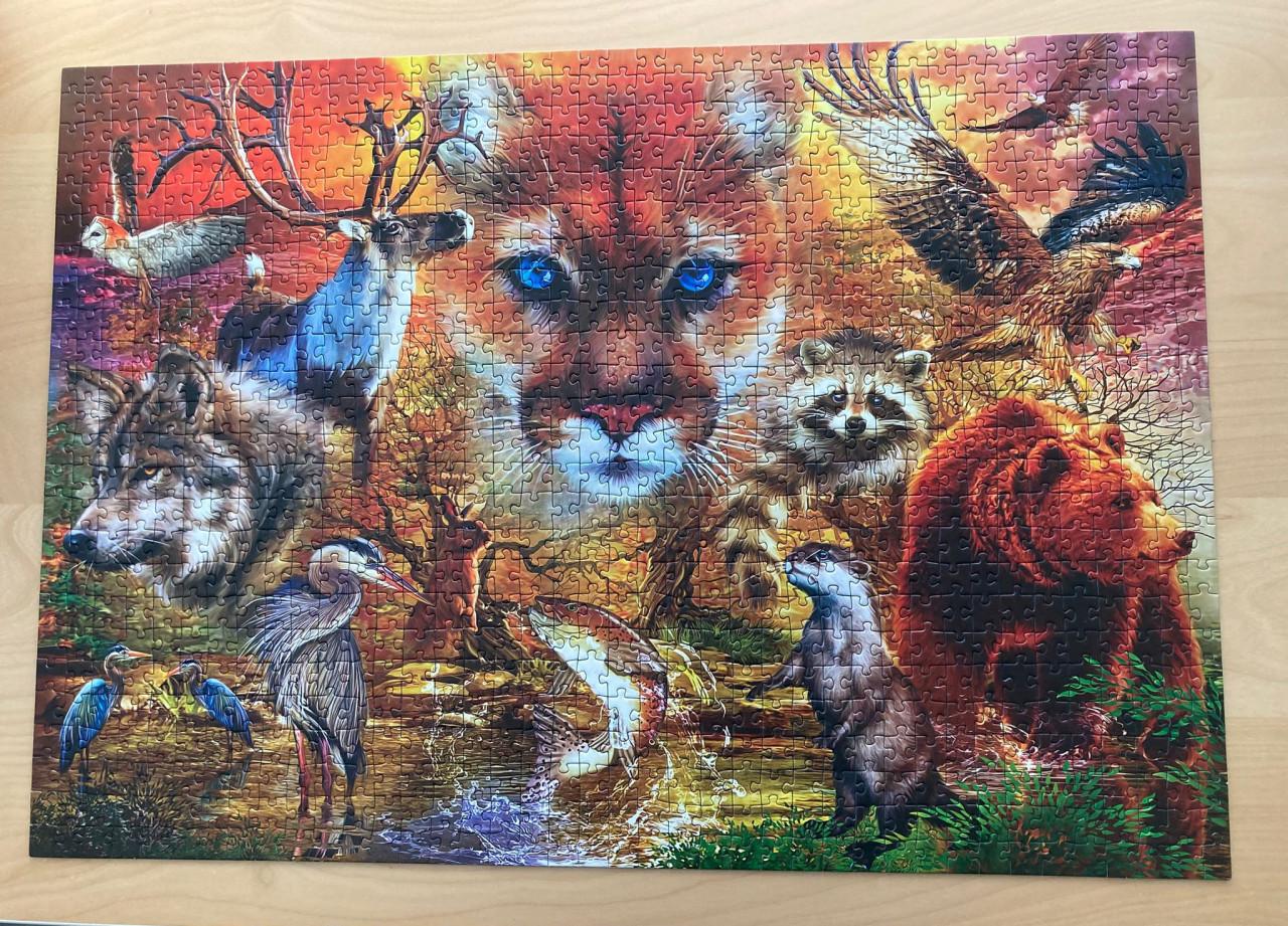 Puzzel Dieren uit Noord-Amerika