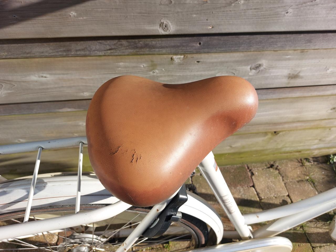 Batavus meidenfiets Old Dutch