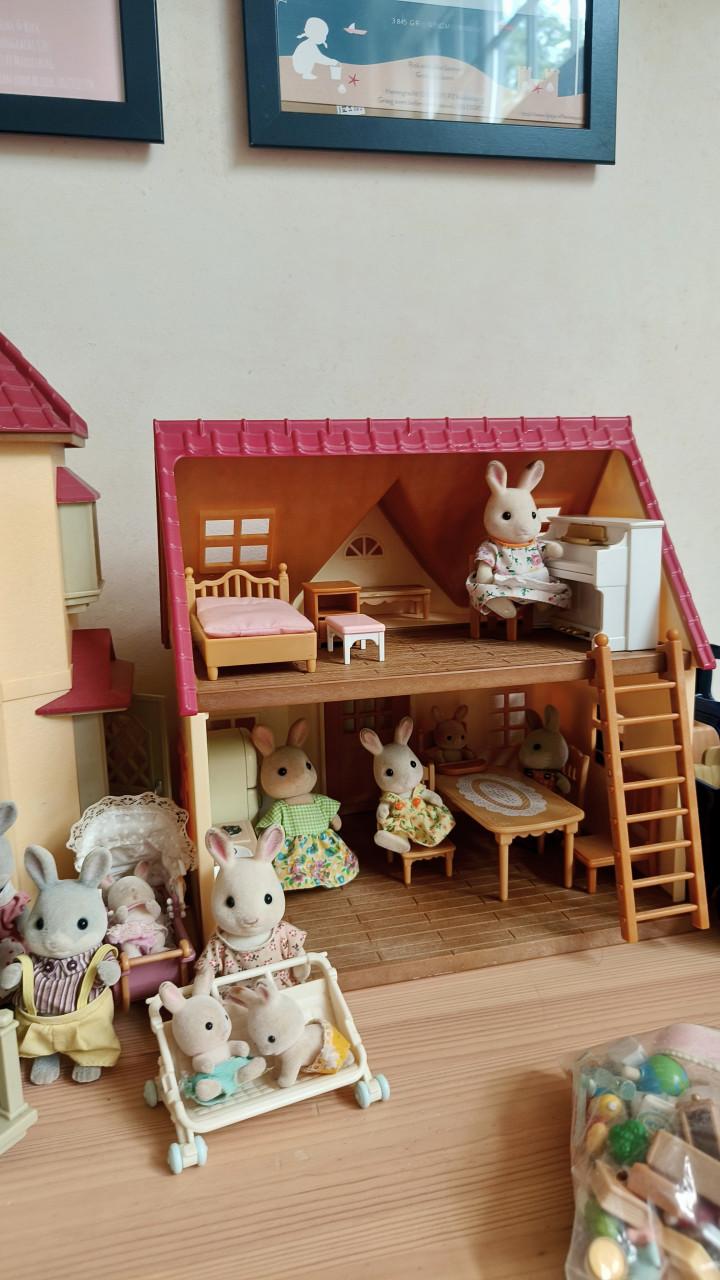 Grote set Sylvanian Families