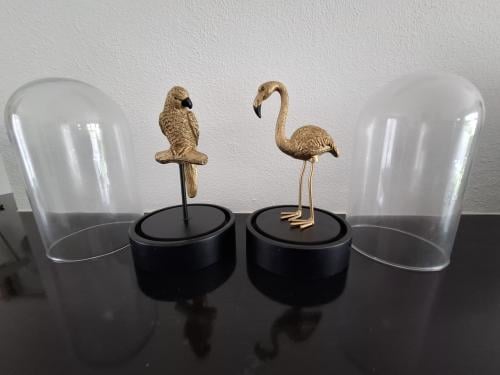 Papegaai en flamingo onder stolp