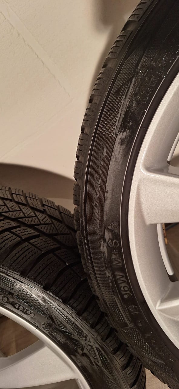 19'' Originele Performance Tesla Model 3 velgen + banden