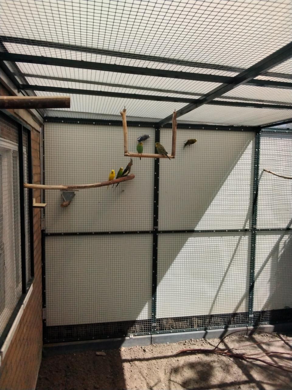 Vogels