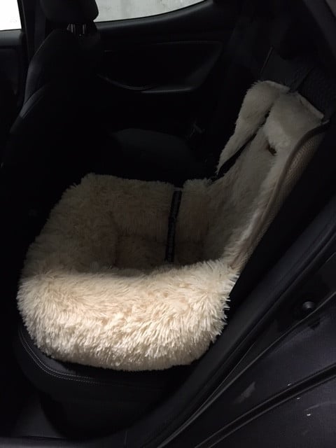 Hond autostoel