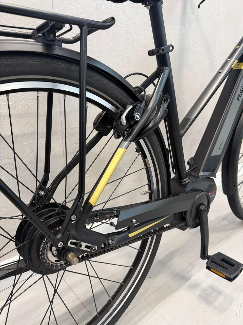 Pegasus Tecaro Evo Bosch Performance CX 50CM 500Wh Belt