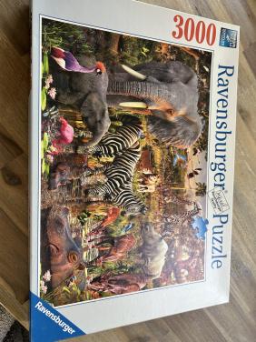 Puzzels van Ravensberger en Jumbo