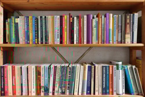 Nederlandse top literatuur