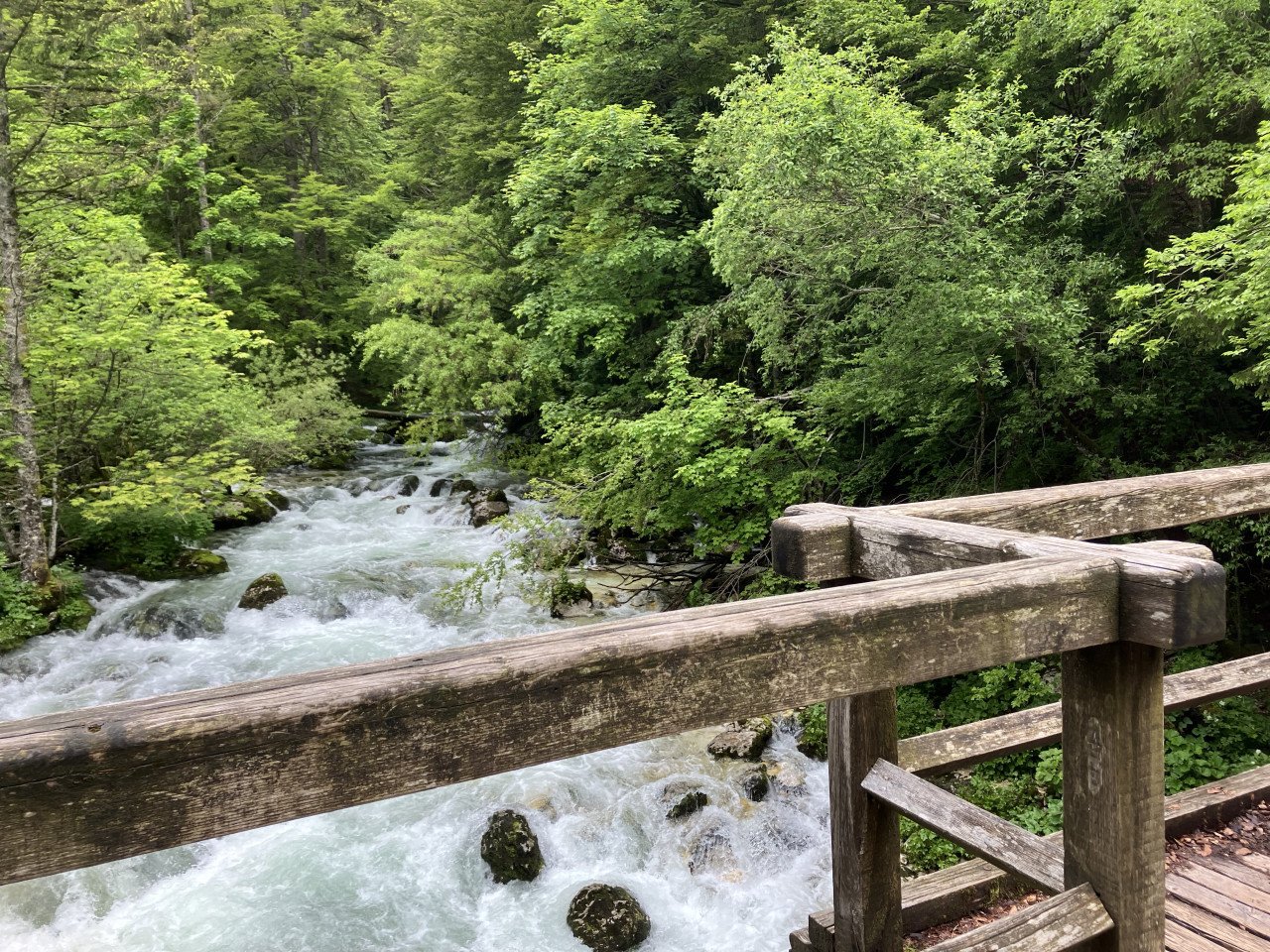Welkom in Slovenie