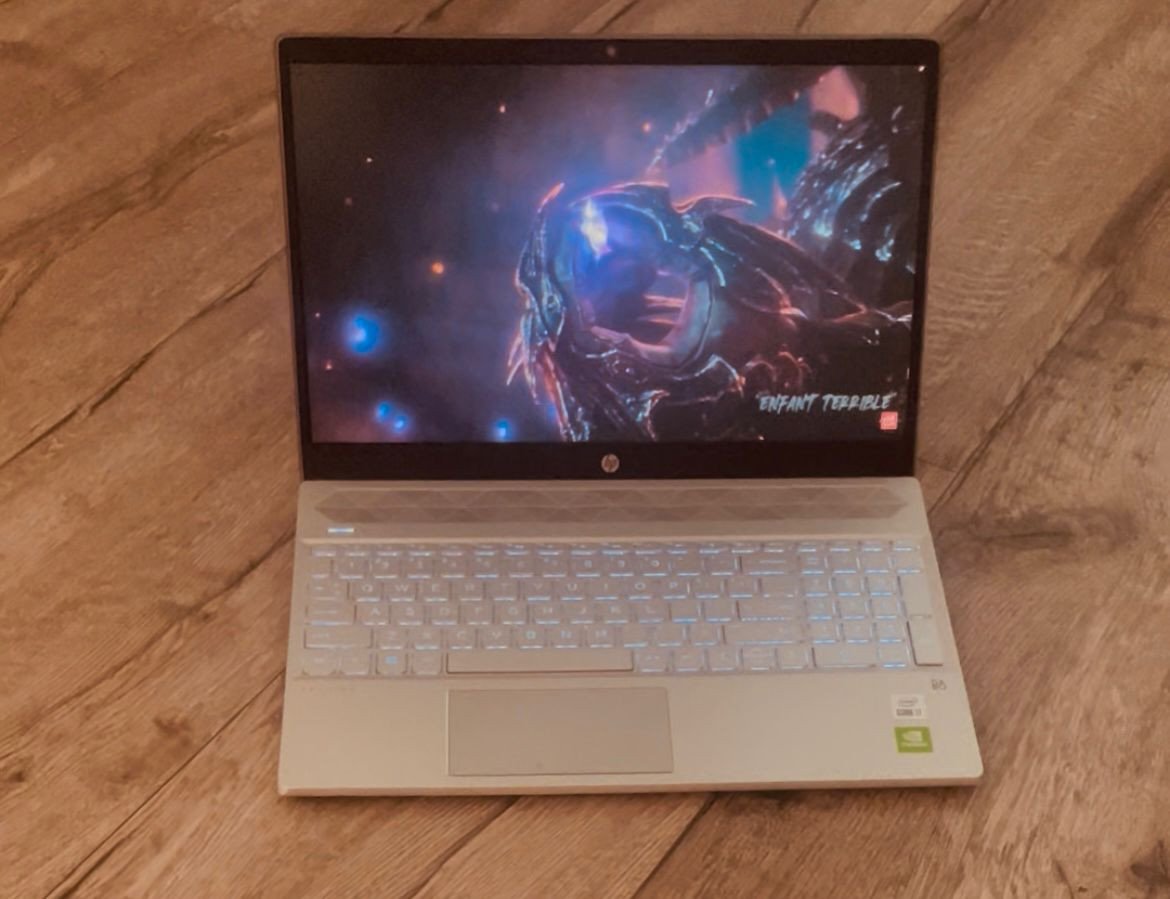 Zeer Nette Snelle Hp Laptop i7-1065G7 - 16 GB - 512 SSD - GeForce MX250 2GB
