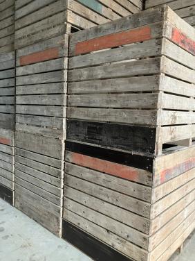 Aard. kisten, kuubskisten