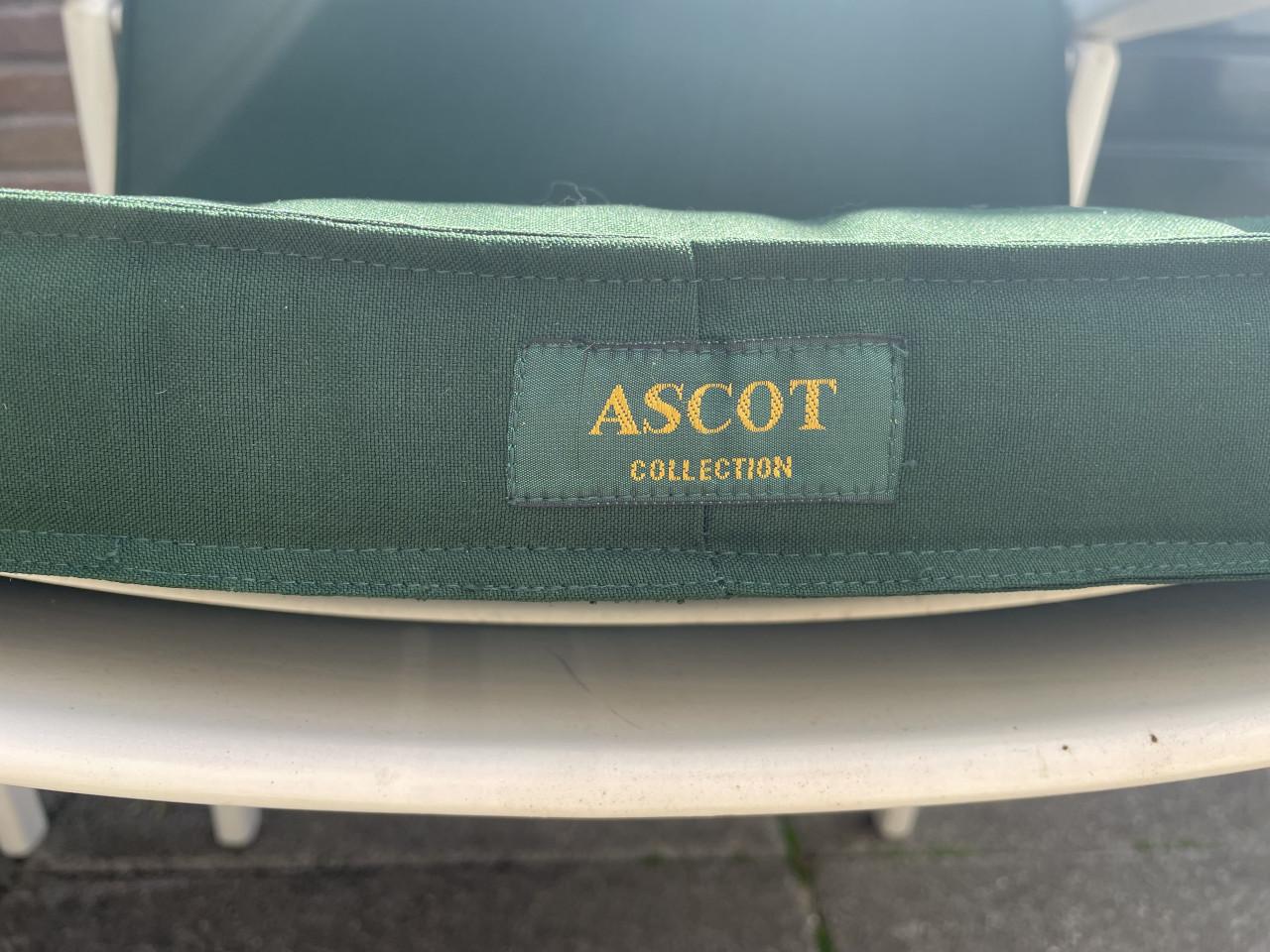 Houten tuinstoelen inclusief kussens