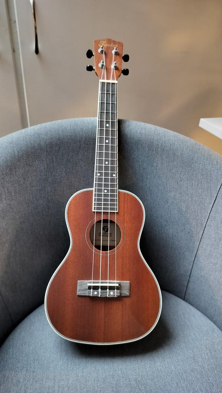 Fazley concert Ukelele