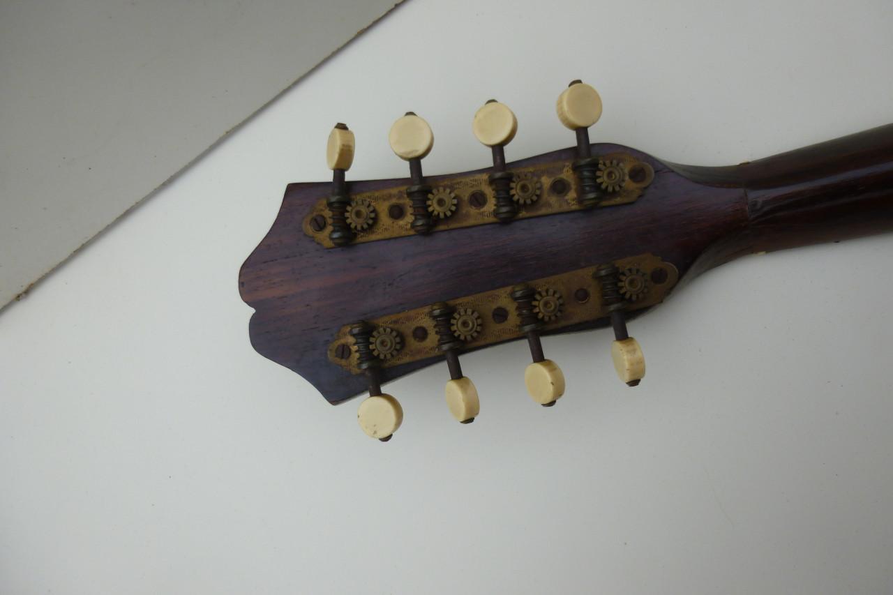 Mandolin