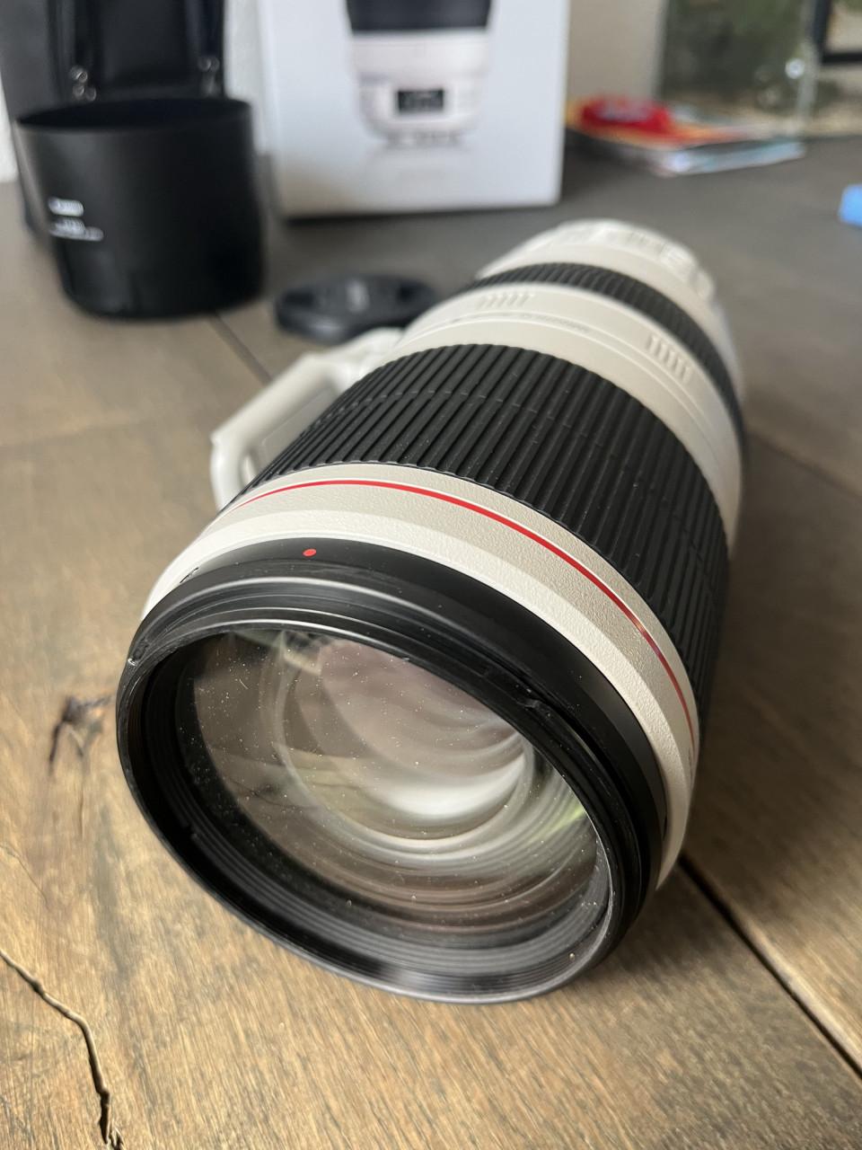 Canon EF 100-400mm f/4.5-5.6L IS II USM