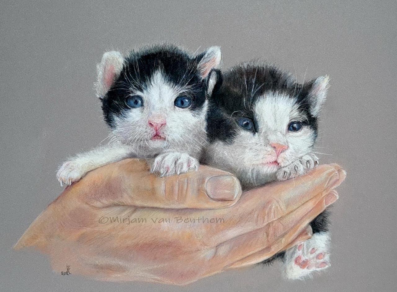 Dierportret in opdracht