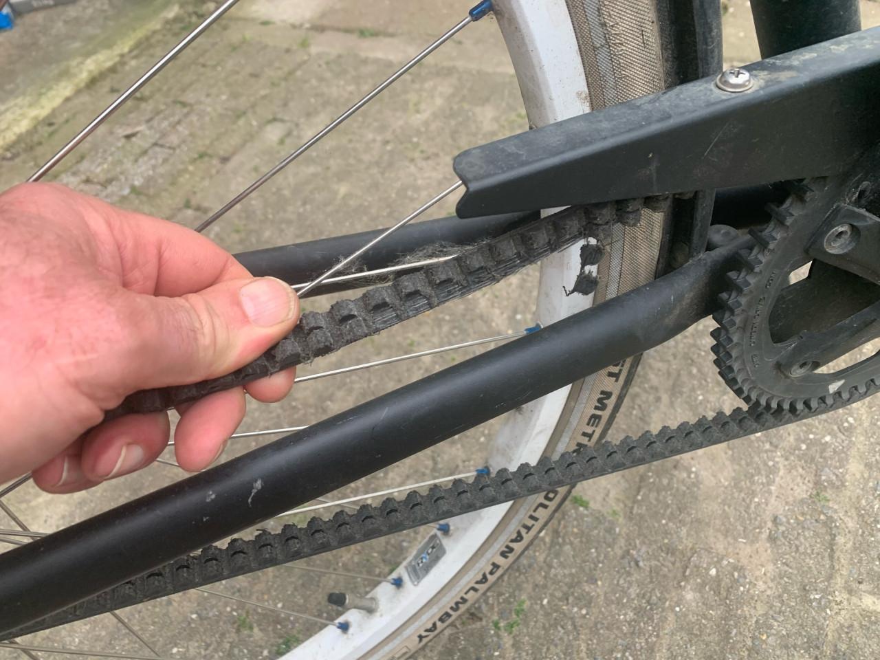 Cortina blau. zwart 53 cm opknapper