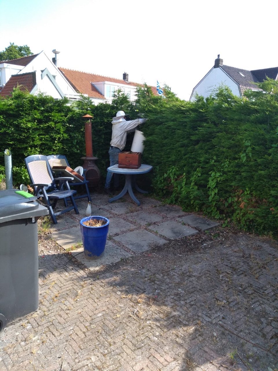 Bijenzwerm gezien bel ons 0642728523