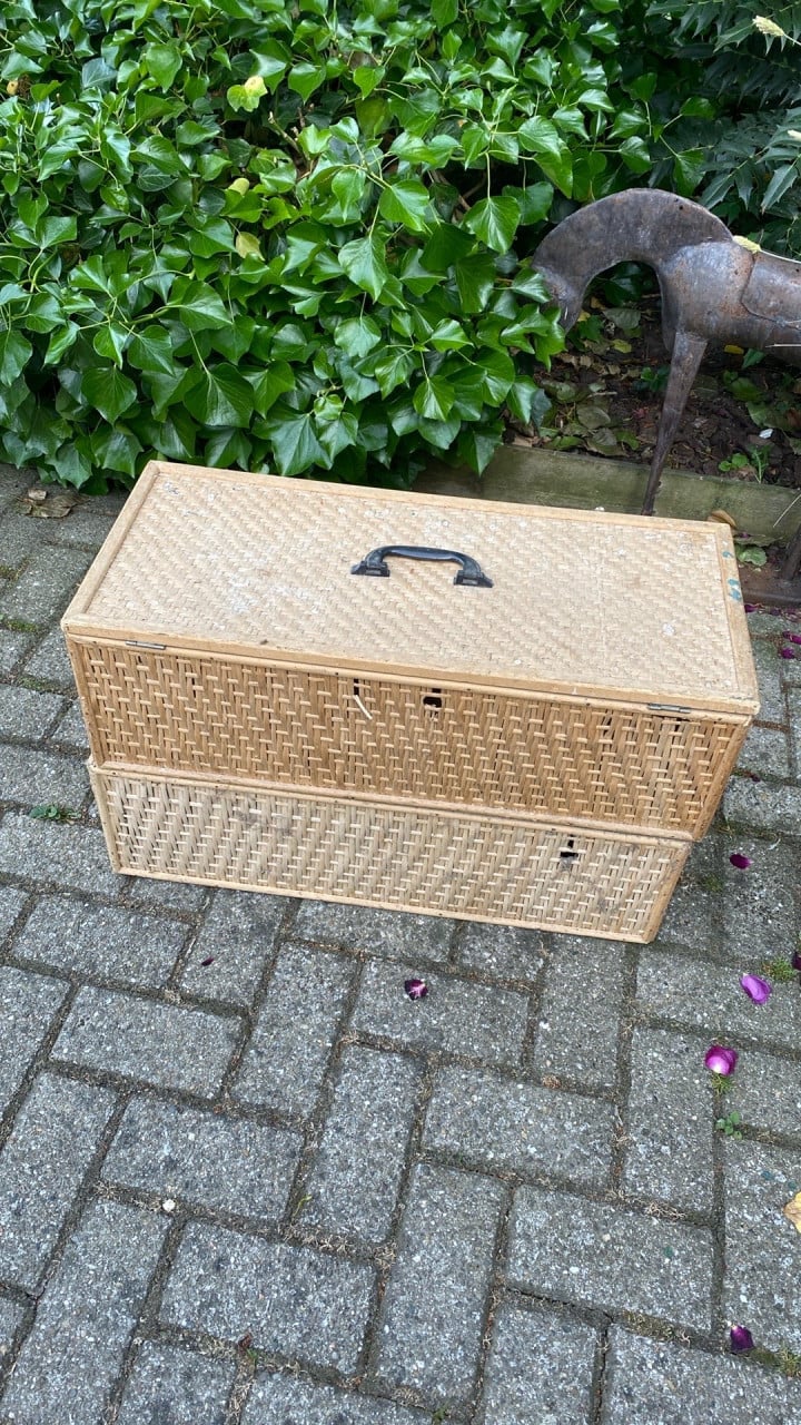 Duivenmand dubbel 2 x 5 vaks