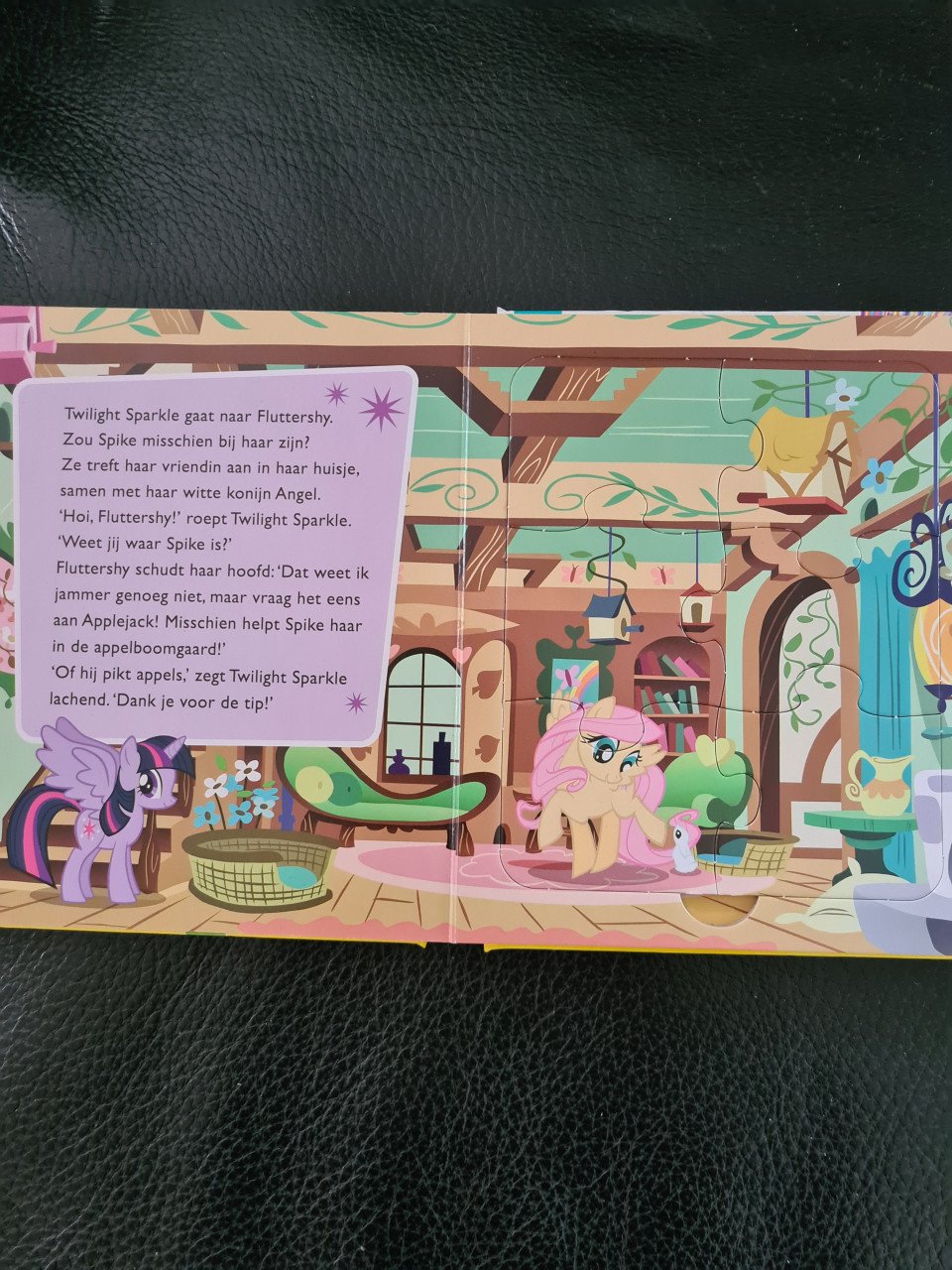 My Little Pony legpuzzel boek met 5 legpuzzels / lezen