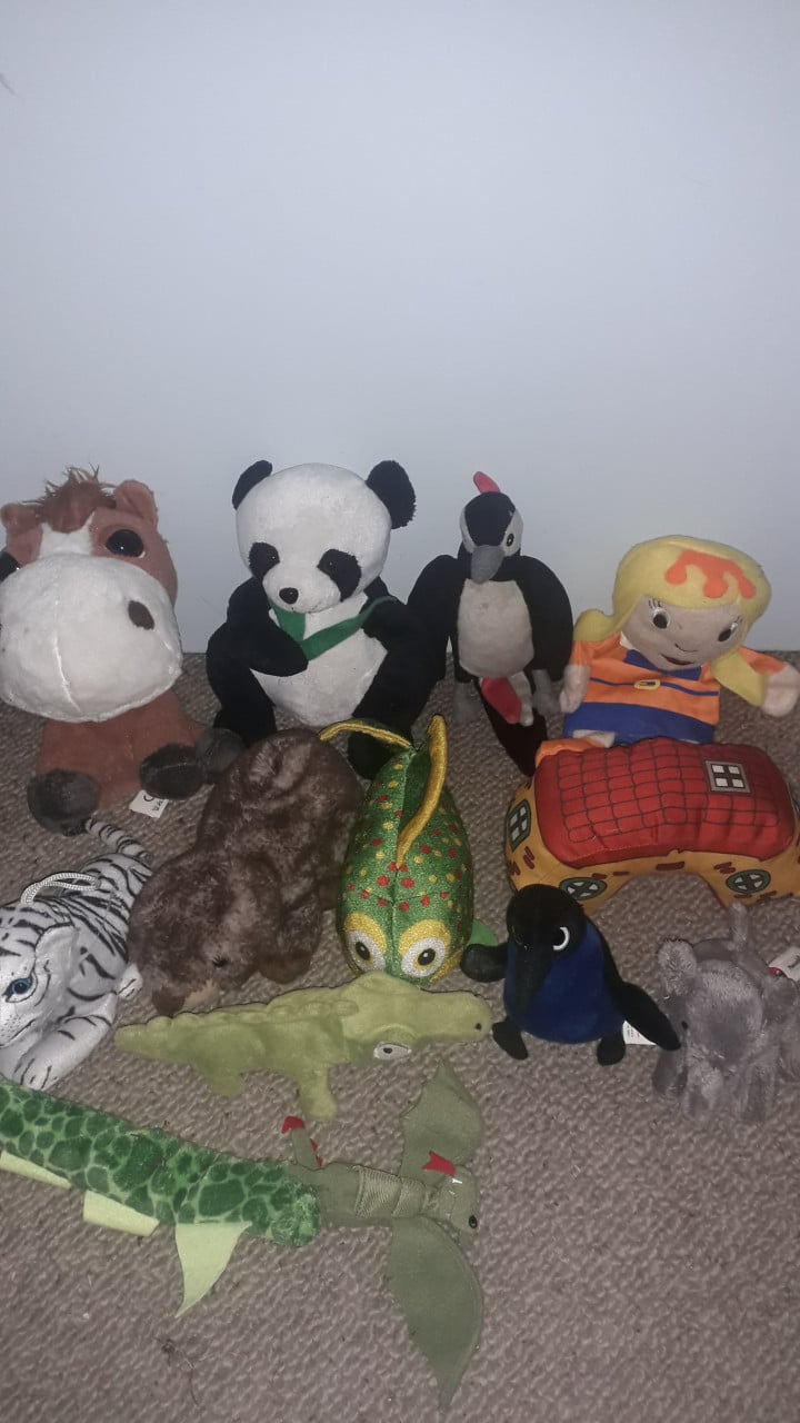 Partij speelgoed en knuffels