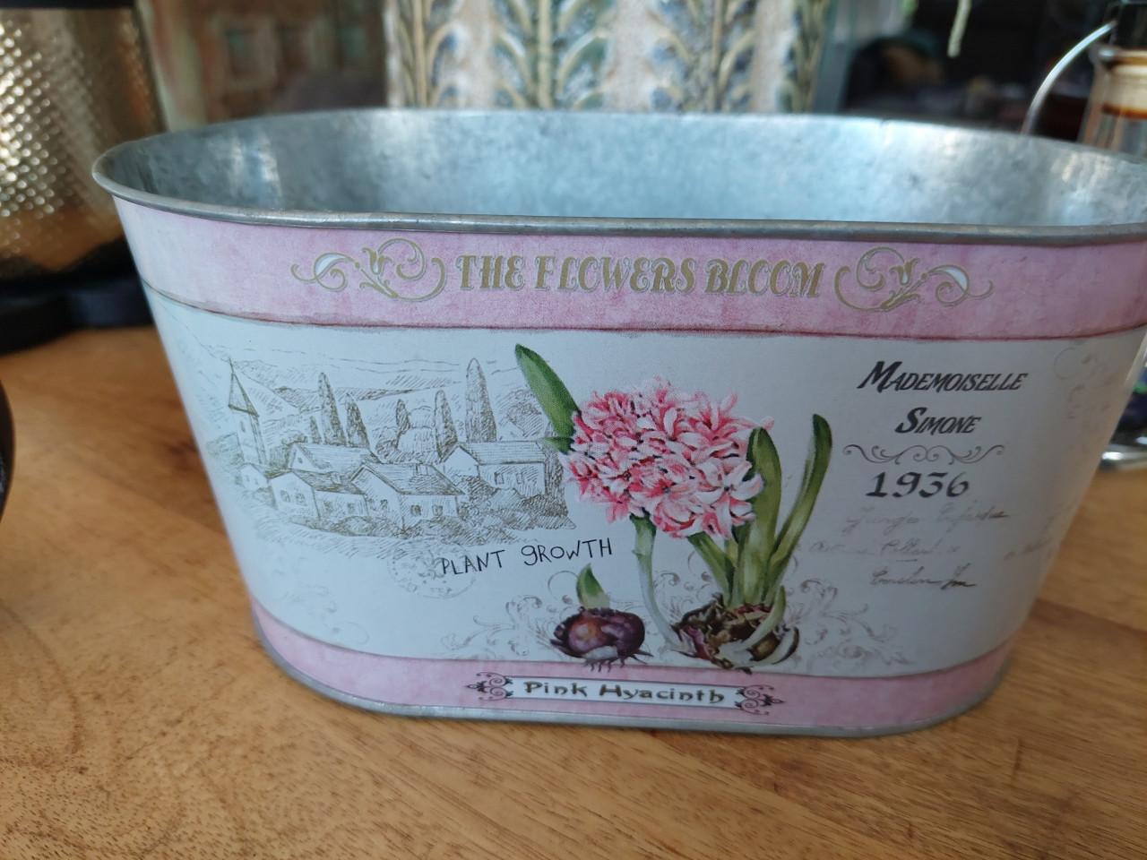 Leuke ijzeren gebloemd plantenbakje