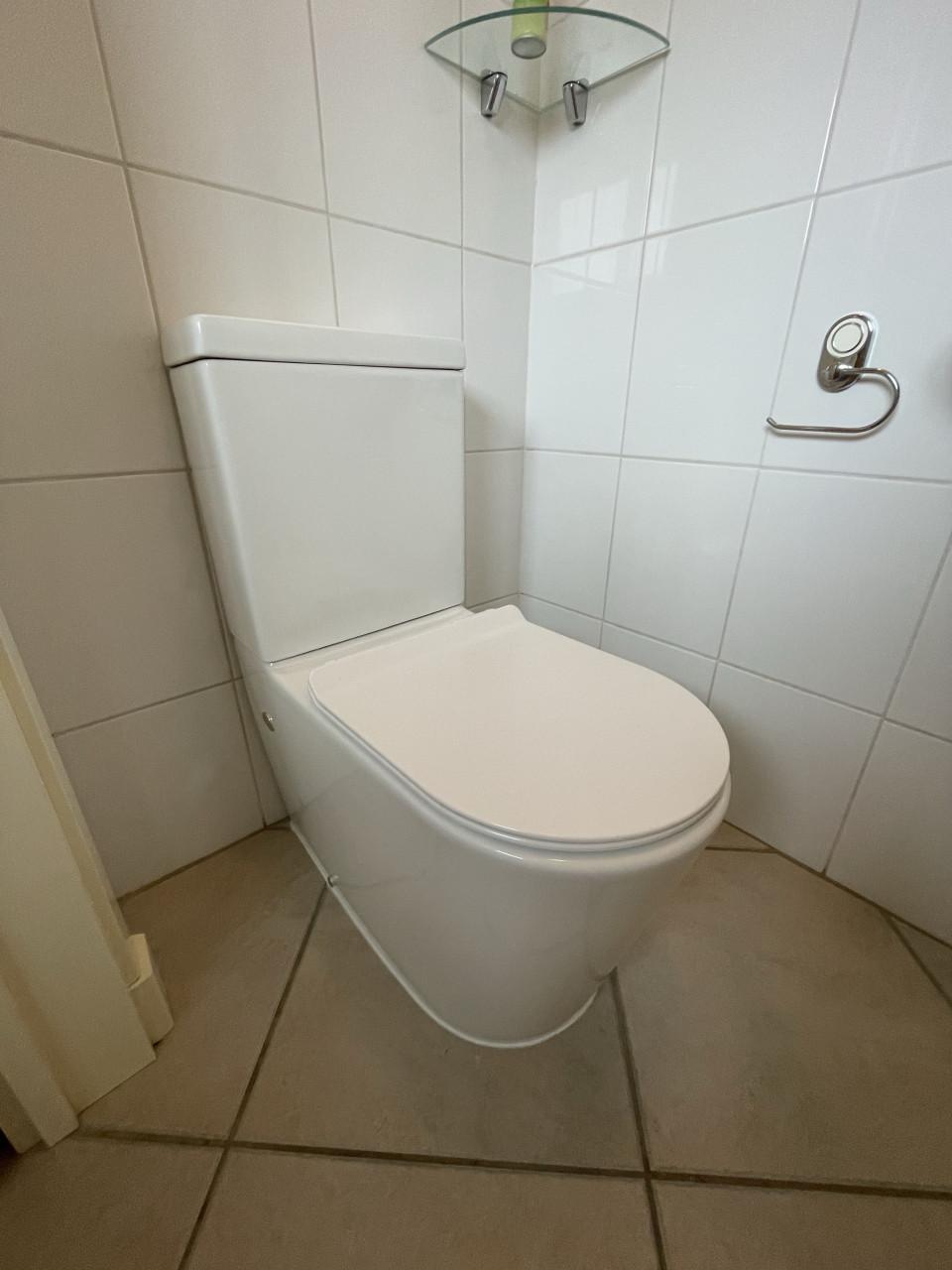Twee toiletten
