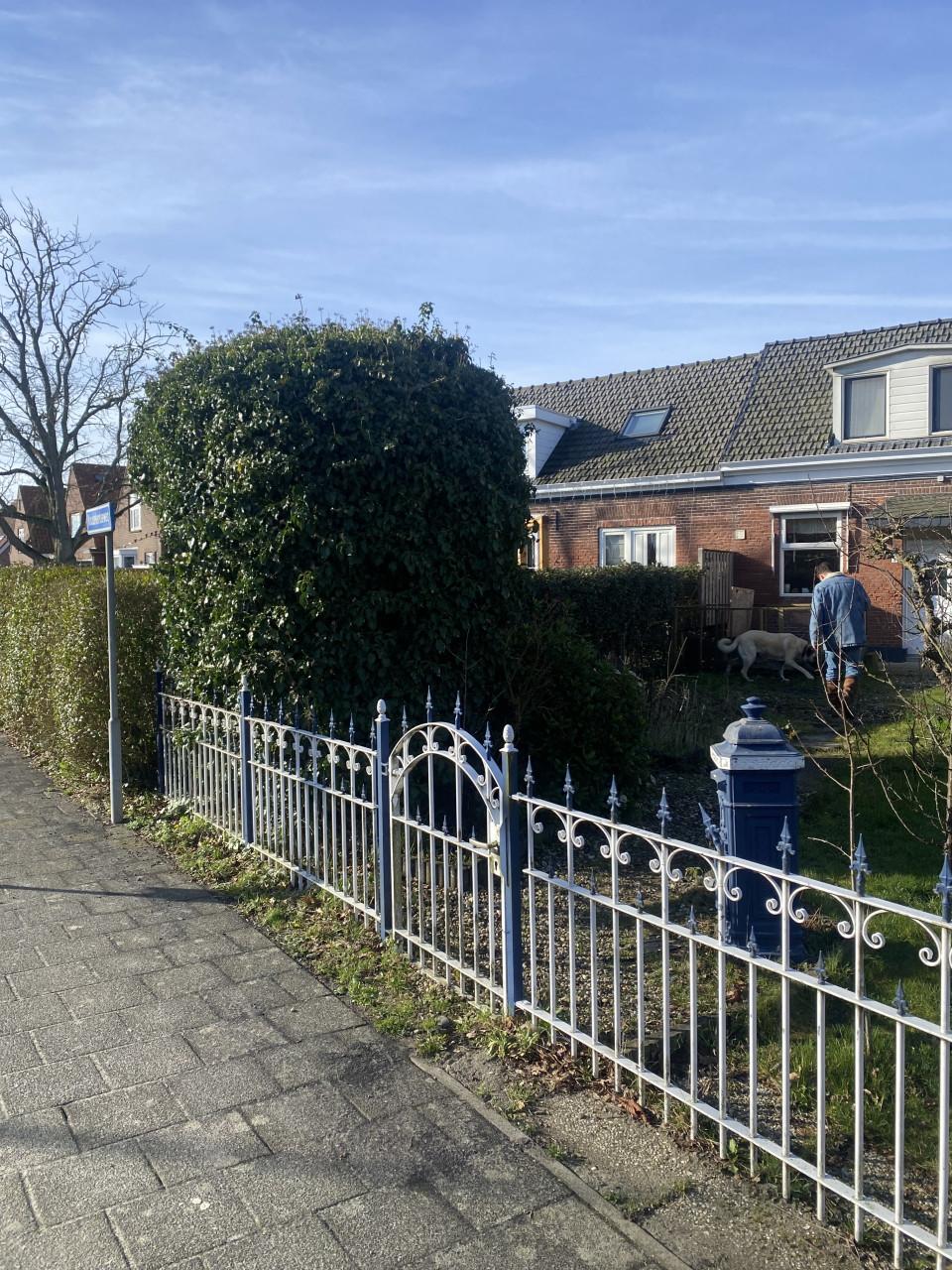 Smeedijzeren sierhek 10 meter met poort