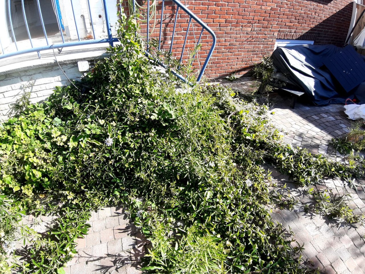 Onkruidverwijdering.