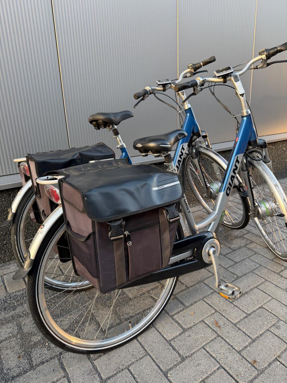 Prachtige Set Giant Twist Hybrid | 2800KM & 2400KM