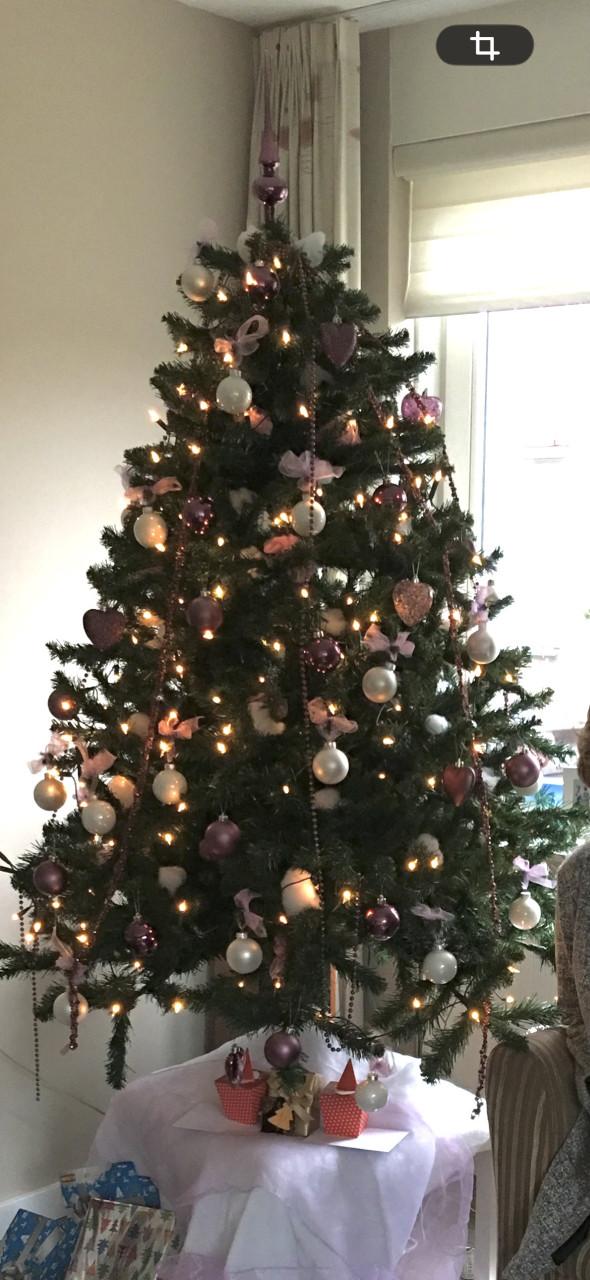 Kerstboom triumph tree